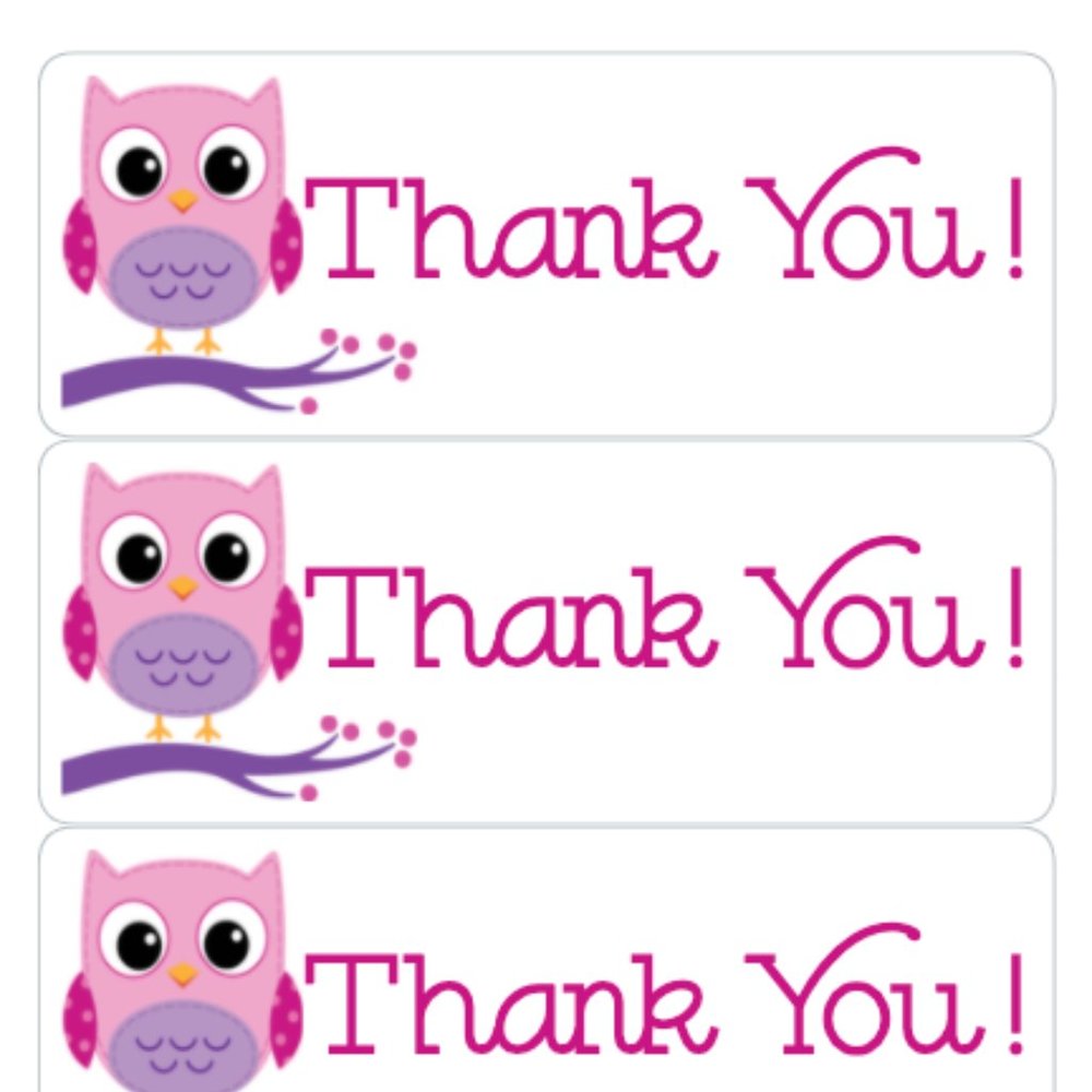 Thank You Stickers 90 Owl Label Card Tag Owls Pink